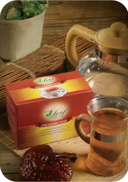 Oleaf Gano Rooibos Drink: Κόκκινο τσάι Rooibos με γανόδερμα (ganoderma lucidum) της Gano Excel