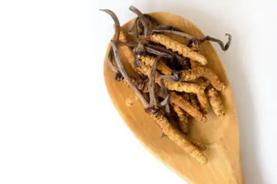 Cordyceps sinensis: Ασιατικός μύκητας που περιέχει μια σειρά από θρεπτικά συστατικά με ευεργετικά οφέλη για την υγεία