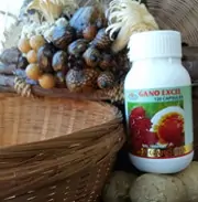 Ταμπλέτες με garcinia (γκαρσίνια) και ganoderma lucidum (γανόδερμα) της Gano Excel